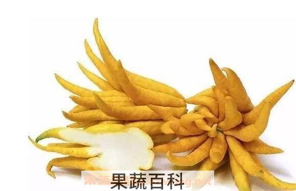 佛手柑精油的功效与作用 佛手柑精油的禁忌