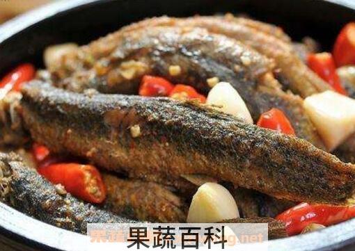 泥鳅鱼的功效与作用