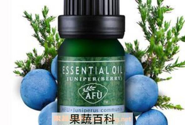 杜松浆果精油的功效与作用 杜松浆果精油的副作用