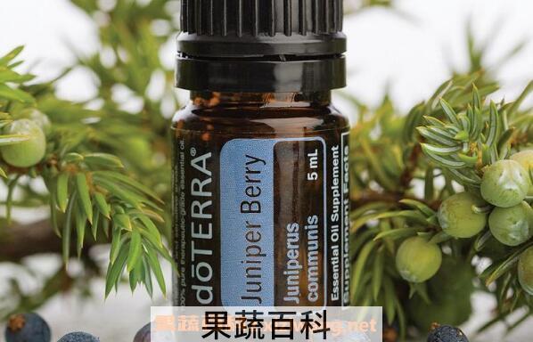 杜松浆果精油的功效与作用 杜松浆果精油的副作用