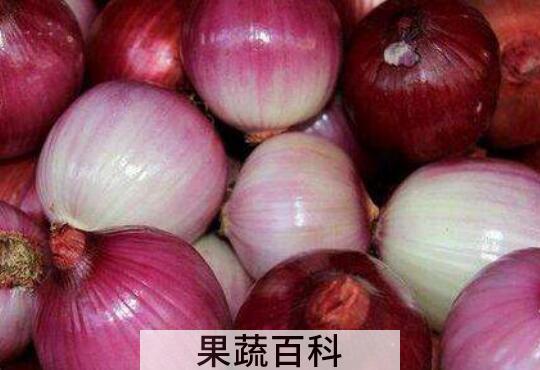 黄洋葱和紫洋葱的区别 黄洋葱和紫洋葱哪个好