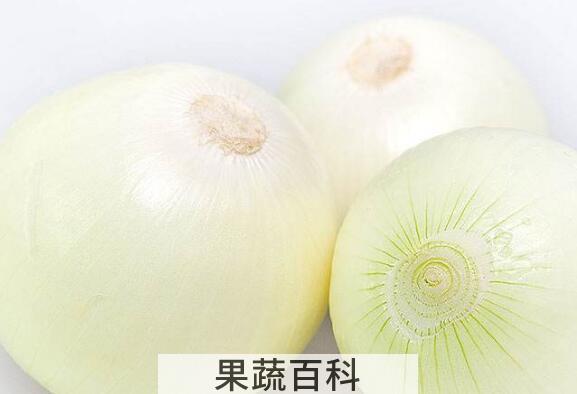 黄洋葱和紫洋葱的区别 黄洋葱和紫洋葱哪个好