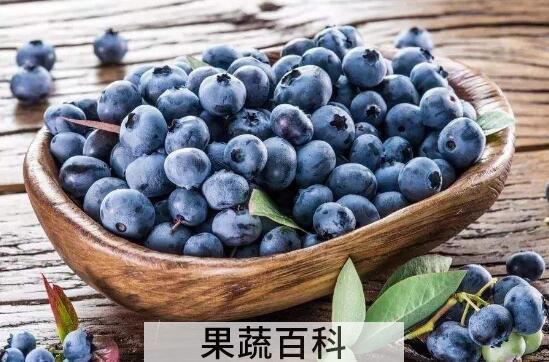 蓝莓怎么洗才干净 蓝莓的正确清洗方法