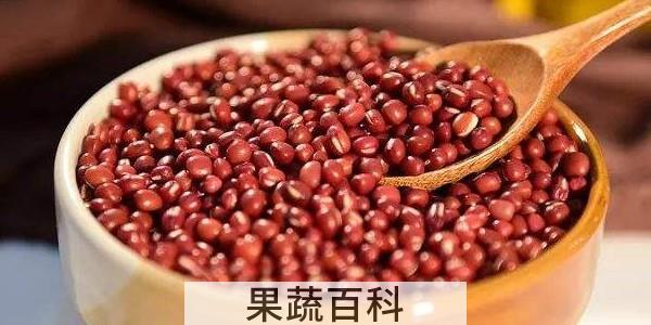 补铁的食物有哪些