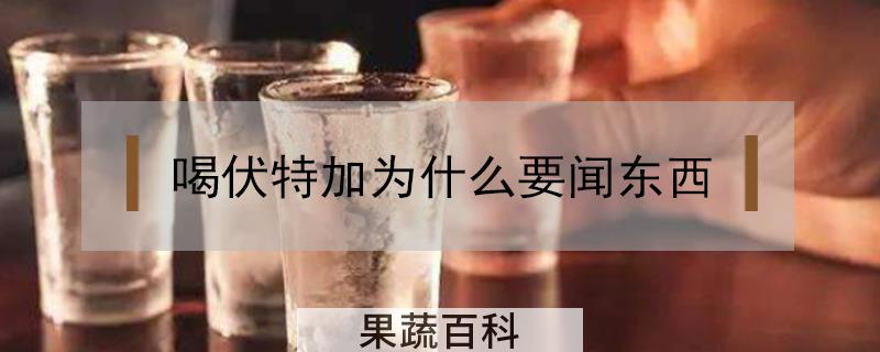 喝伏特加为什么要闻东西