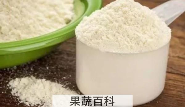 豌豆蛋白质粉催奶吗