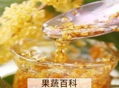 桂花蜜的功效与作用 喝桂花蜜的好处