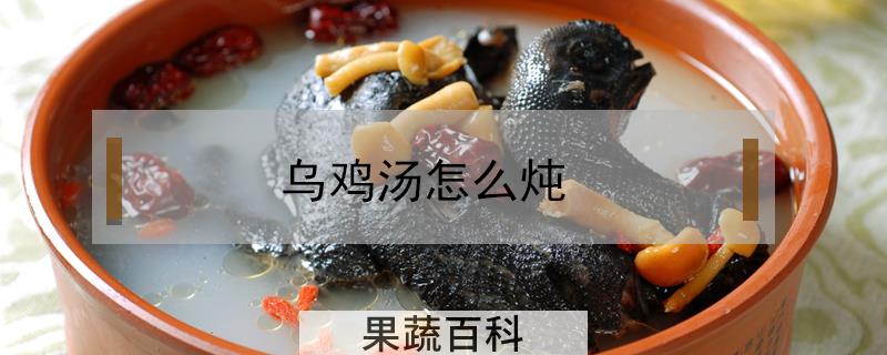乌鸡汤怎么炖