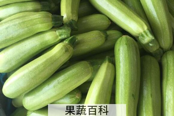 番瓜有什么功效与作用