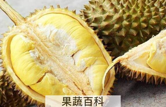 女性晚上吃榴莲的好处 女性吃榴莲的最佳时间