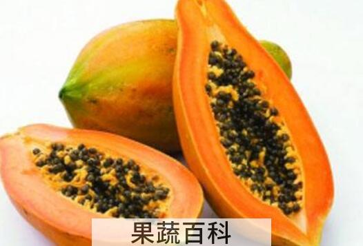 吃木瓜的禁忌有哪些 木瓜相克食物及禁忌