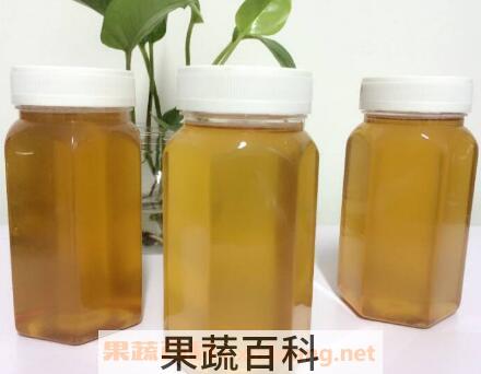 枇杷蜜的功效与作用