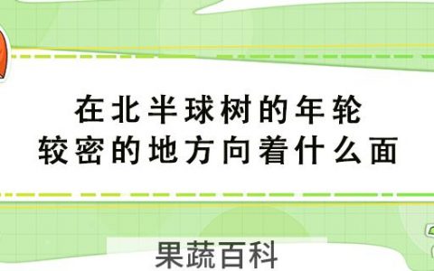 在北半球树的年轮较密的地方向着什么面