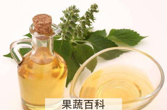 紫苏油的功效与作用 紫苏油的副作用与禁忌