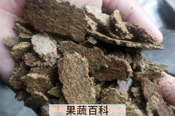  菜籽饼如何发酵成花肥 菜籽饼如何做土壤肥料