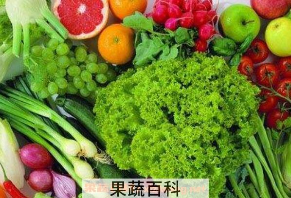 含维生素b的食物有哪些 哪些食物含维生素b丰富