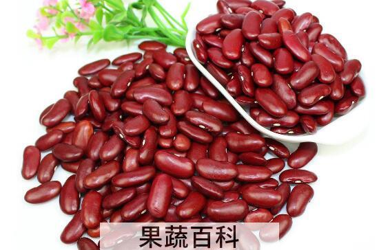腰豆的功效与作用 腰豆的食用方法
