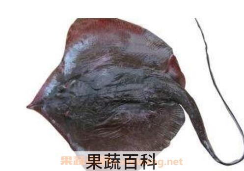 老板鱼对男人的功效