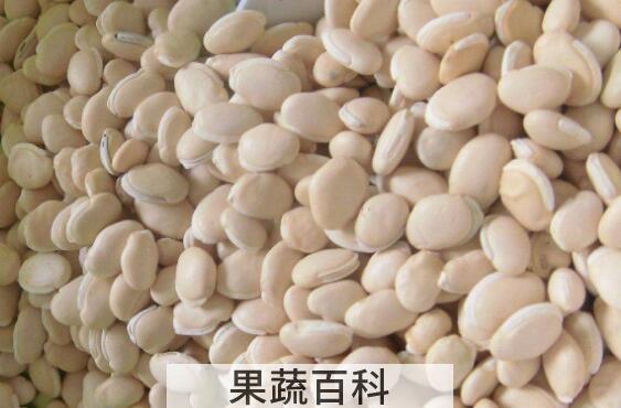 洋扁豆的功效与作用及禁忌