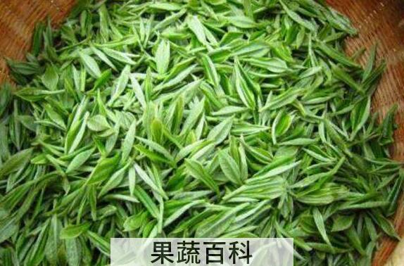 茶氨酸含量高的茶叶有哪些 茶氨酸的好处