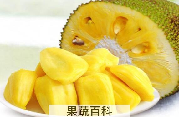榴莲蜜和菠萝蜜的区别