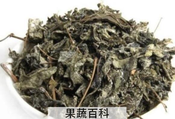藤婆茶的功效与作用