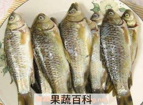 鲫鱼仔的功效与作用