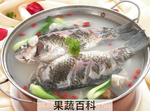 鲫鱼仔的功效与作用