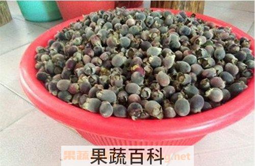 捻子酒