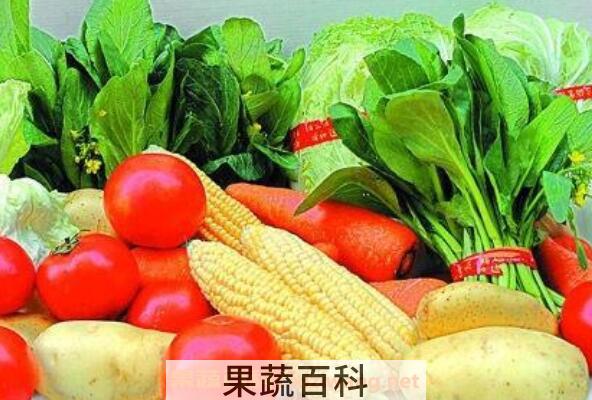 含维生素d的食物 哪些食物含维生素d丰富