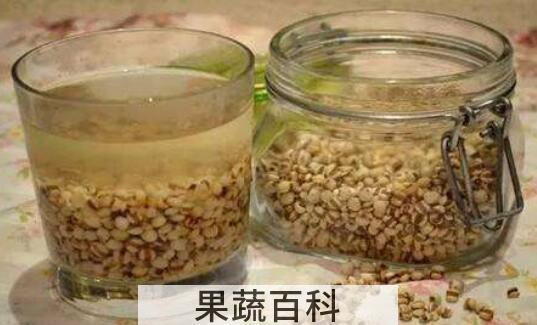 薏仁茶的功效与作用及禁忌