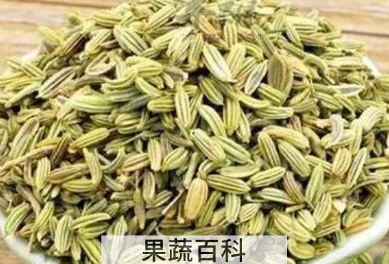 莳萝子和小茴香的区别