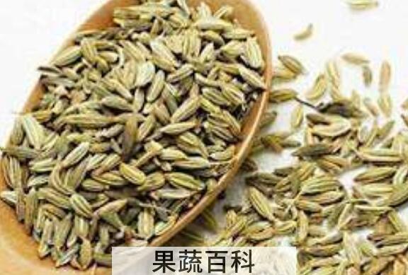 莳萝子和小茴香的区别