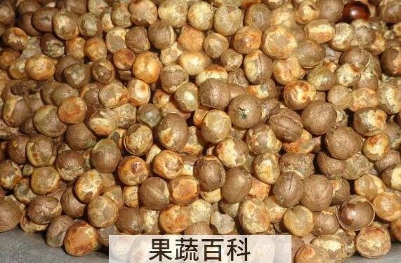 竹米的功效与作用