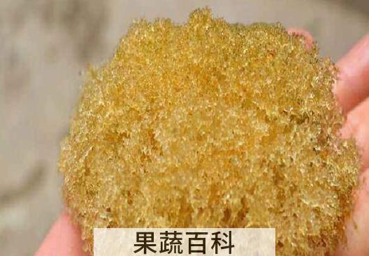 竹燕窝怎么吃 竹燕窝的做法