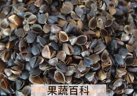 苦荞麦壳的功效与作用