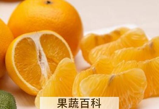 胡柚的功效与作用及禁忌