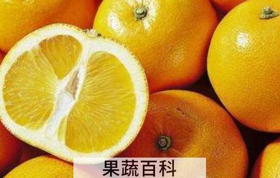 为什么吃胡柚的人不多 胡柚直接吃怎么那么苦