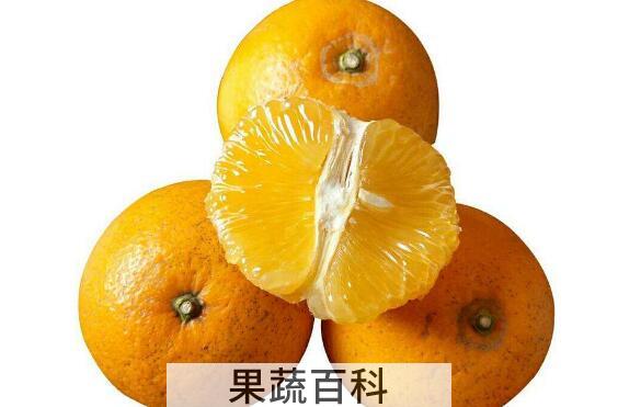 为什么吃胡柚的人不多 胡柚直接吃怎么那么苦