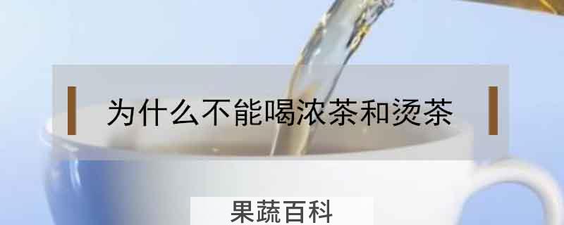 为什么不能喝浓茶和烫茶