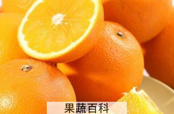胡柚与橙子的区别 