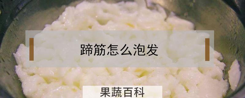 蹄筋怎么泡发