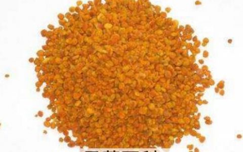 党参花粉的功效与作用