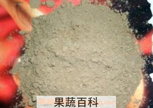 党参花粉的功效与作用