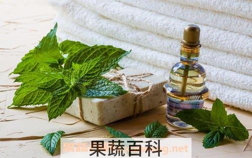 薄荷精油