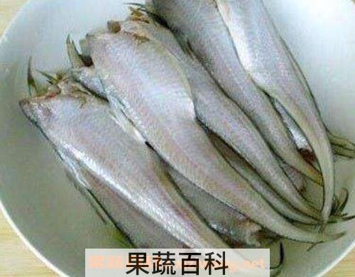 长江子鱼的功效与作用
