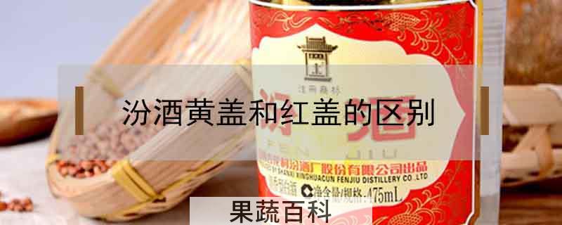 汾酒黄盖和红盖的区别