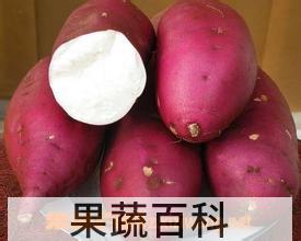 果蔬百科红薯