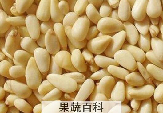 松子仁怎么来的 松子仁的副作用有哪些
