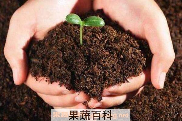营养土如何做 营养土制作方法